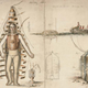 Illustration for article titled The Strange and Wonderful History of Diving Suits, From 1715 to Today